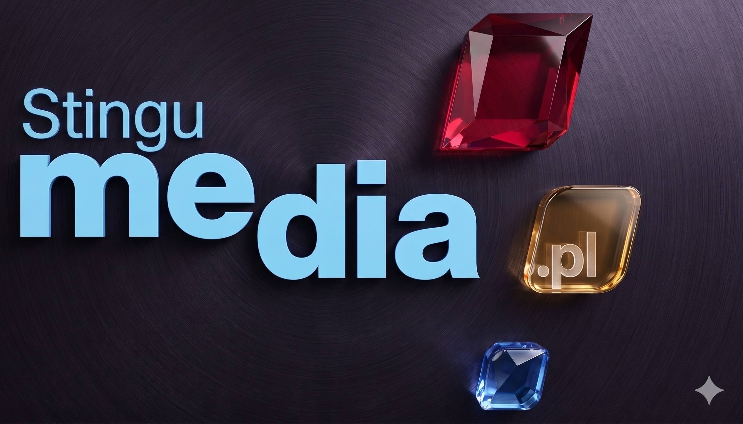 Stingumedia Team